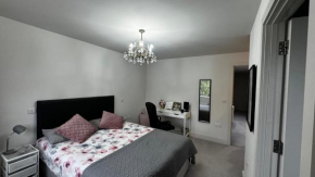 Luxurious Central London N-Suite with Garden Views